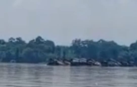 Bocor di Hulu: Tambang Emas Ilegal di Sekadau Diduga “Dibekingi”, Kapolda Diminta Tegas