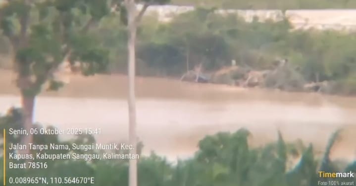 Pengamat: Jangan Tutup Mata, Ini Pelanggaran HAM dan Hukum Lingkungan!