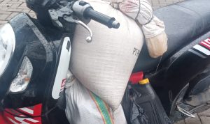 Pemotor Dari Kab. Gowa Ditangkap Tim Opsnal Unit Reskrim Polsek Tamalate, Saat Hendak Bawa 55 Liter Ballo Ke Kota Makassar