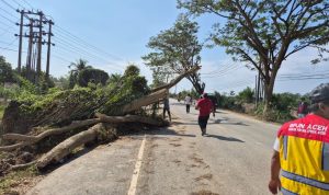 Kementerian PU Pastikan Pemulihan Tujuh Ruas Jalan Utama di Lintas Timur, Barat, dan Tengah Aceh