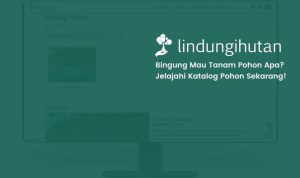 LindungiHutan Hadirkan Fitur Katalog Pohon untuk Permudah Publik dan Perusahaan Dukung Kampanye Lingkungan