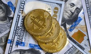 Bitcoin Tertahan Ketidakpastian Regulasi AS, Bittime Ajak Investor Perkuat Pemahaman Risiko dan Literasi Finansial