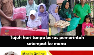 TUJUH HARI TAMPAH BERAS PEMERINTAH SETEMPAT KE MANA