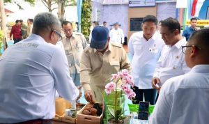 Presiden Dorong Hilirisasi Gambir, PTPN Group Siap Perkuat Nilai Tambah Komoditas Rakyat