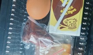 Menu Program MBG SMKN Rangkasbitung Dan Posyandu di Wilayah Desa Tambakbaya Kac, Cibadak:  Ladang Korupsi