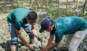 Perusahaan Tambang Pelat Merah Wajib Perkuat Operasional Bertanggung Jawab