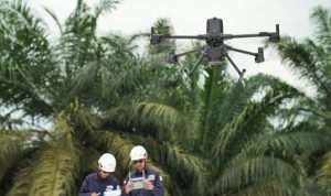 Teknologi LiDAR Zenmuse L3: Pemetaan Presisi di Area Perkebunan Berkanopi Lebat