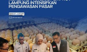Jaga Stabilitas Harga Dan Kualitas Pangan Pemprov Lampung Intensifkan Pengawasan Pasar