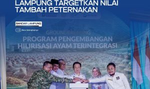 Hilirisasi Ayam Terintegrasi Dimulai Di Lampung