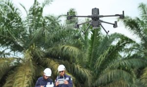 Manajemen Vegetasi dan Analisis Koridor Transmisi dengan Software LiDAR Terrasolid
