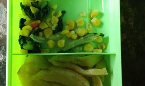 skandal MBG di desa sumberjo Lampung Timur di nilai kurang memenuhi SOP layak nya seperti program Badan gizi Nasional