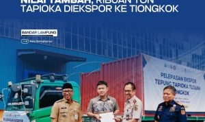 Pemprov Lampung Dorong Nilai Tambah, Ribuan Ton Tapioka Diekspor Ke Tiongkok