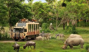 Taman Safari Indonesia Siap Dukung Transformasi Kebun Binatang Bandung sebagai Lembaga Konservasi Modern